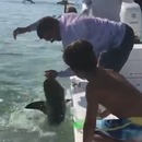 homme-perdre-doigt-requin