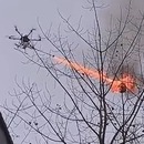 miniature pour Un drone muni d'un lance-flammes élimine un nid de guêpes
