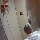 miniature pour Un chien suspendu dans la porte d'un ascenseur