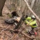 ours-attaque-motards-foret