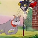 Les scènes de Tom et Jerry existent aussi en vrai