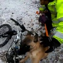 Une promenade à vélo gachée par l'attaque de 3 chiens