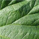 Calculez votre empreinte écologique