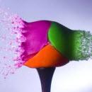 miniature pour Explosion de Couleurs