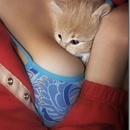miniature pour Animaux et Décolletés