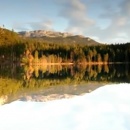 miniature pour Reflet Parfait sur l'Eau
