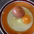 miniature pour Un oeuf dans un oeuf