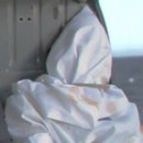 miniature pour Ben Laden jeté dans l'eau