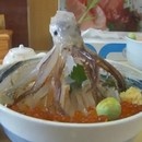 miniature pour Un calmar vivant dans le plat