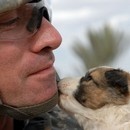miniature pour Les soldats et les animaux