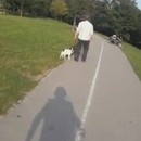 miniature pour Il étale la merde du chien sur son maître