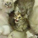 miniature pour Donner à manger aux chats en slip