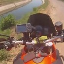 miniature pour Un motard sauve un veau