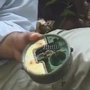 miniature pour Aki, le démineur Cambodgien
