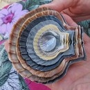 miniature pour Images en Vrac 59