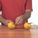 miniature pour De l'électricité avec des citrons