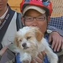 miniature pour Un chien a couru 1700km avec des cyclistes au Tibet
