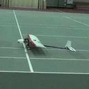 miniature pour Un avion robot autonome