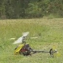 miniature pour Tuer des Guêpes avec un Hélicoptère RC
