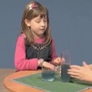miniature pour Les enfants sont stupides
