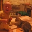 miniature pour Un chat qui mord et griffe un bébé