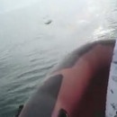 miniature pour Jeté aux requins par ses amis