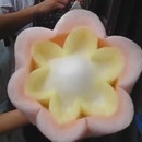 miniature pour Barbe à Papa en Fleur