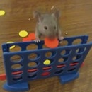 miniature pour Des souris intelligentes qui font des tours