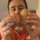 miniature pour Le plus gros œuf de poule au monde ?