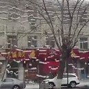 miniature pour Rideau de neige