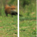 miniature pour Gifs en Vrac 50