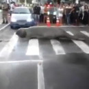 miniature pour Les Brésiliens ont des voisins lourds