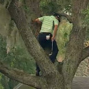 sergio-garcia-joue-golf-sur-arbre