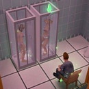 miniature pour La vie est plus intéressante dans les Sims
