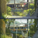 paysages-animes-vs-paysages-reels