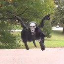 miniature pour La mort flotte dans l'air pour Halloween