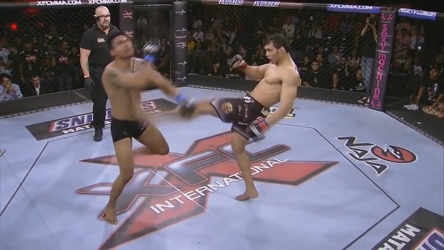 Canard Tué à Coup De Pied Tiktok KO en MMA avec un puissant coup de pied